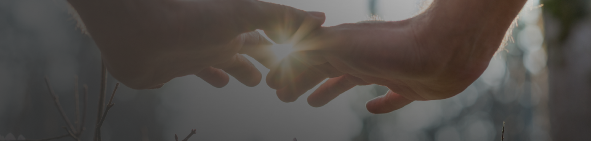 Миссия «Добрые дела»